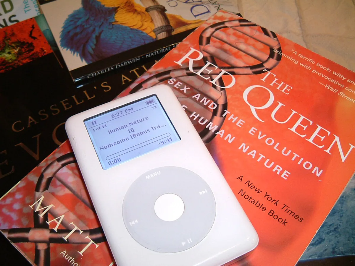 How to Join Óbidos Free Tours: A 2026 Budget Guide