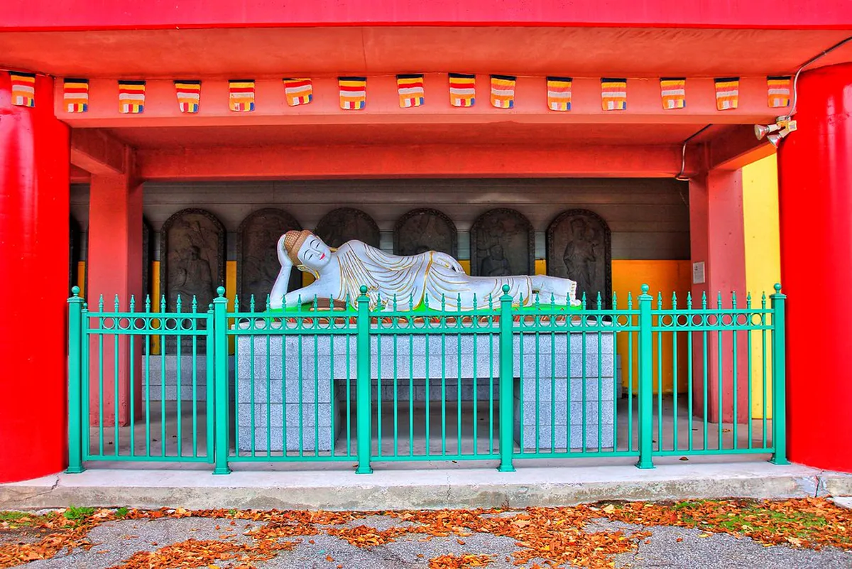 Portugal Free Walking Tours: Best 2026 City Guides & Routes